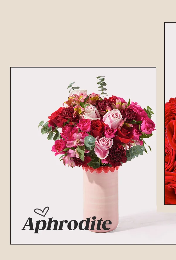 Featured Bouq: Aphrodite