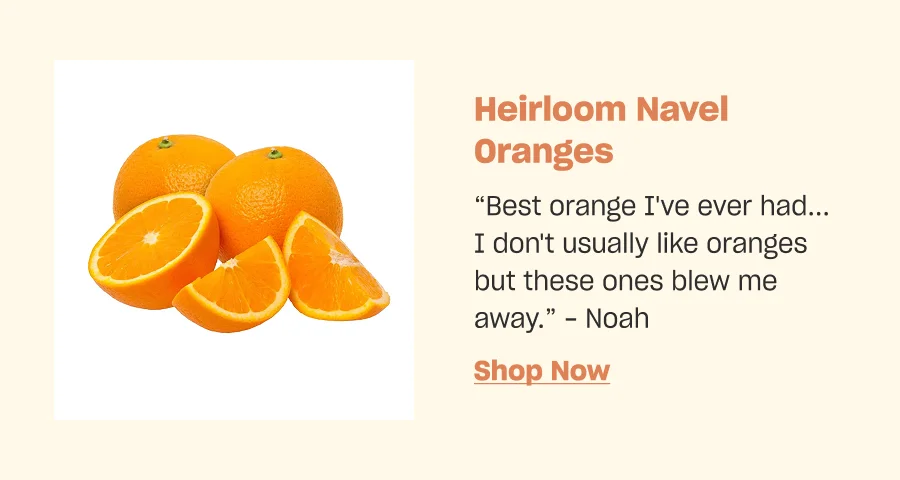 Heirloom Navel Oranges