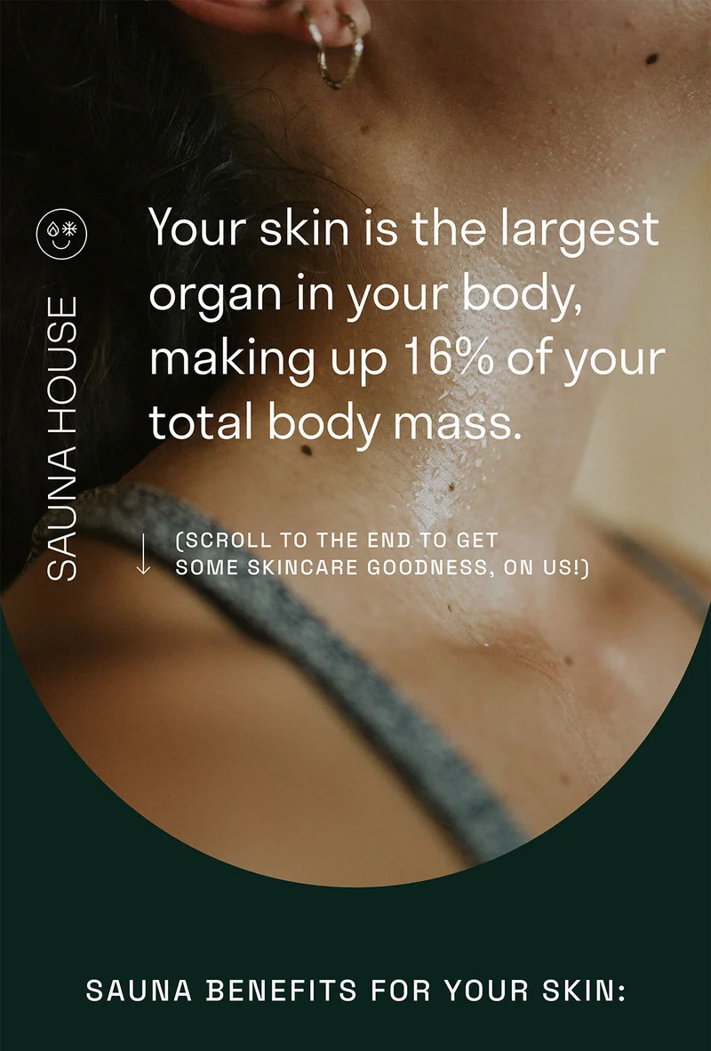 Your skin is the largest organ in your body, making up 16% of your total body mass.