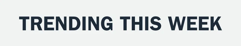 Section Header