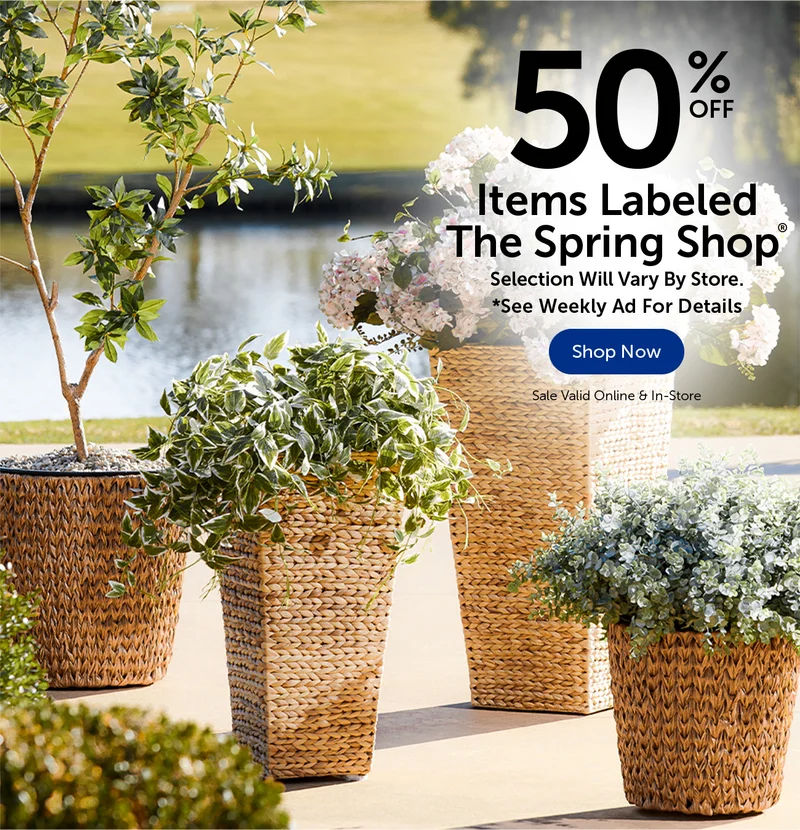 50% Off Items Labeled The Spring Shop