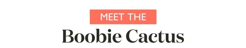 Meet The Boobie Cactus