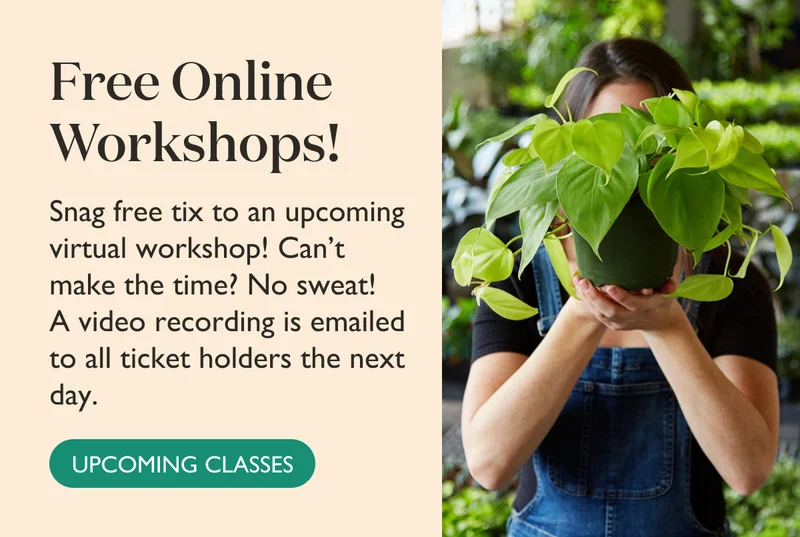 Free Online Workshops - Get Tickets!