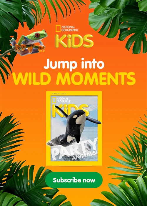 An orange background with a magazine cover featuring a jumping orca and a frog, surrounded by tropical leaves.