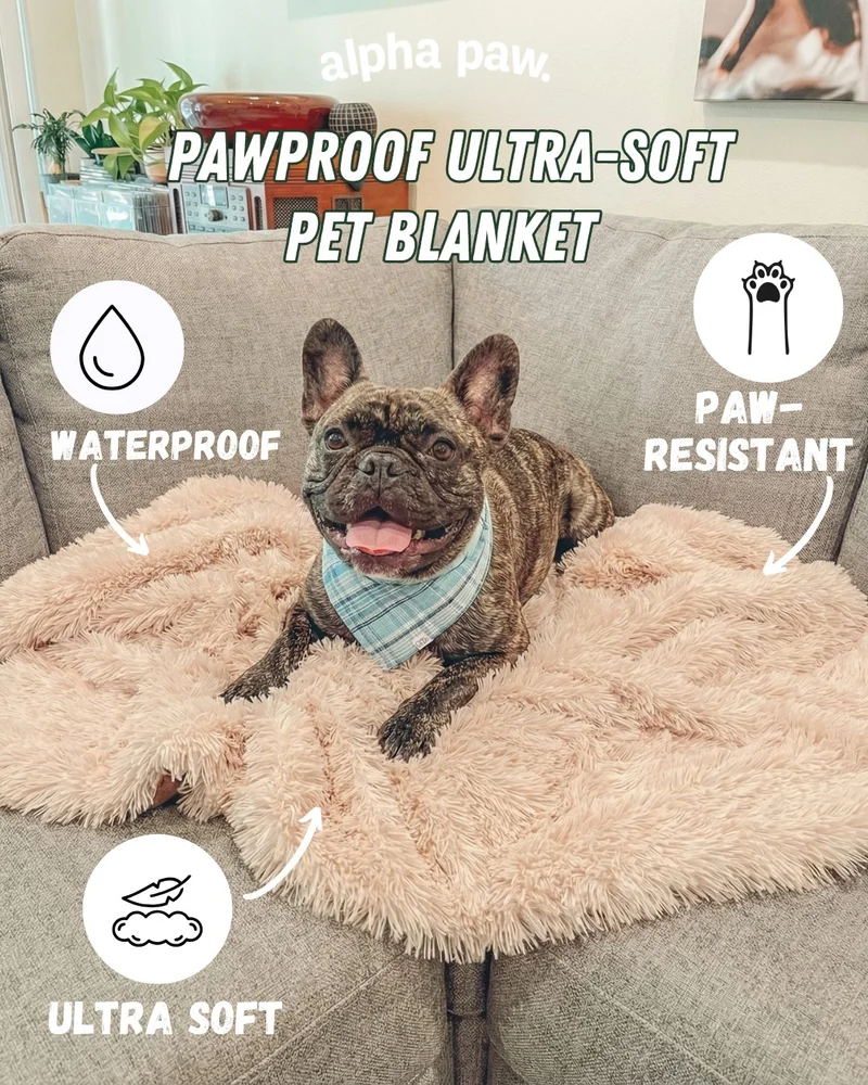 PawProof