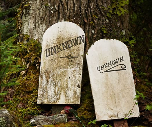 THE GOLD RUSH CEMETERY