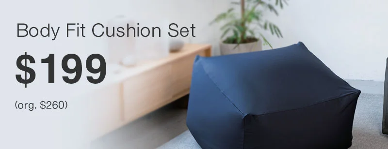 Shop $199 Body Fit Cushion Set