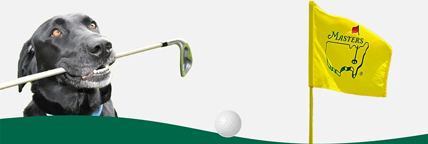 Image of a dog holding a golf club in it's mouth