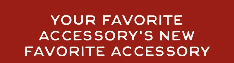 Your favorite accessory’s new favorite accessory
