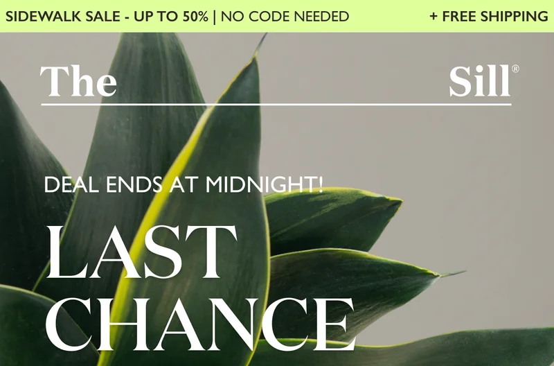 LAST CHANCE: Today's Deal of the Day