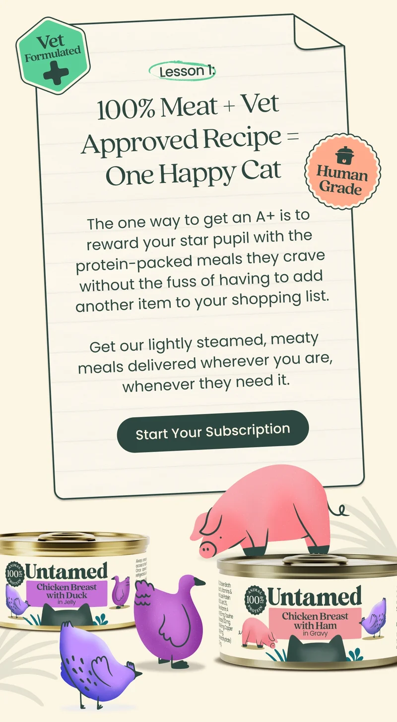 Start Your Subscription