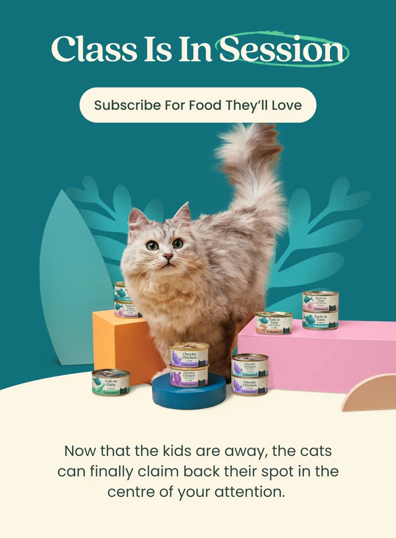 Subscribe For Food They'll Love