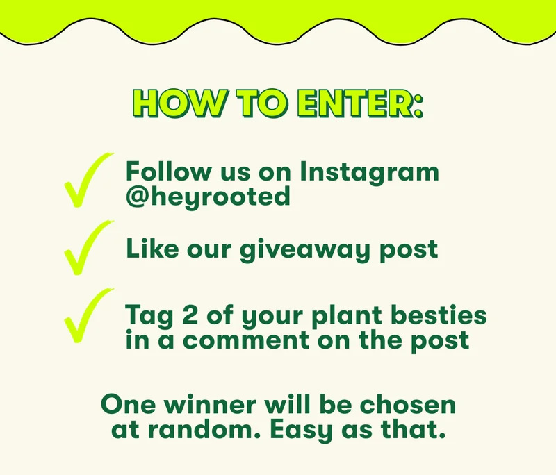 Follow us on Instagram for a chance to win $100 in free plants!