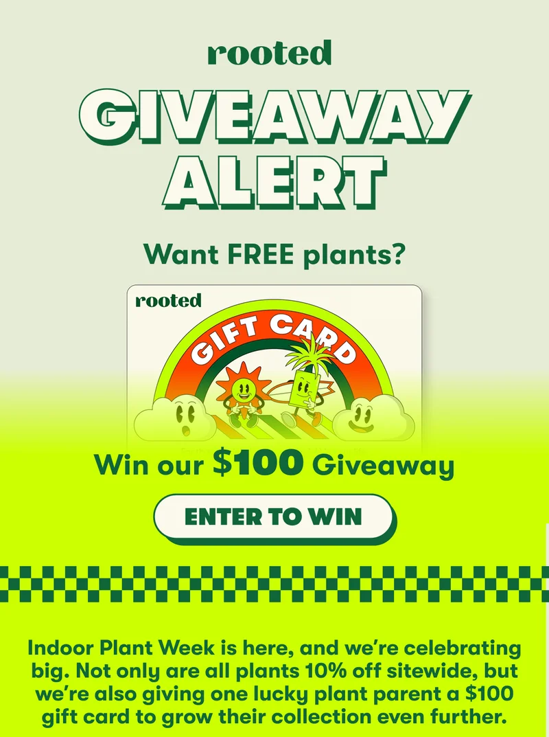 Giveaway & 10% off sitewide