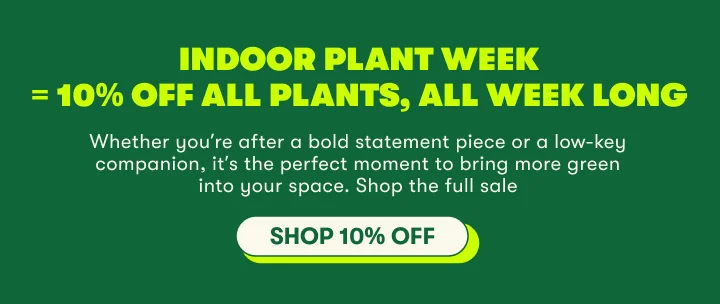 Shop 10% off