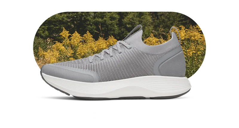 Srider