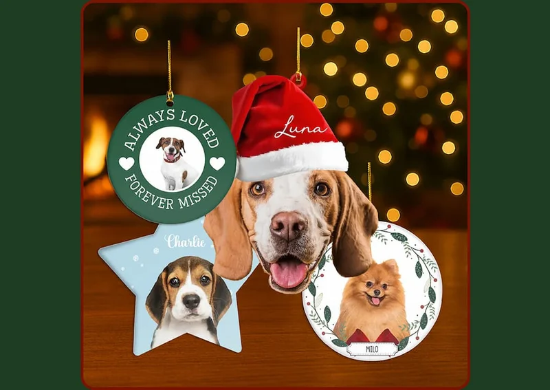 Custom Pet Face Ornaments
