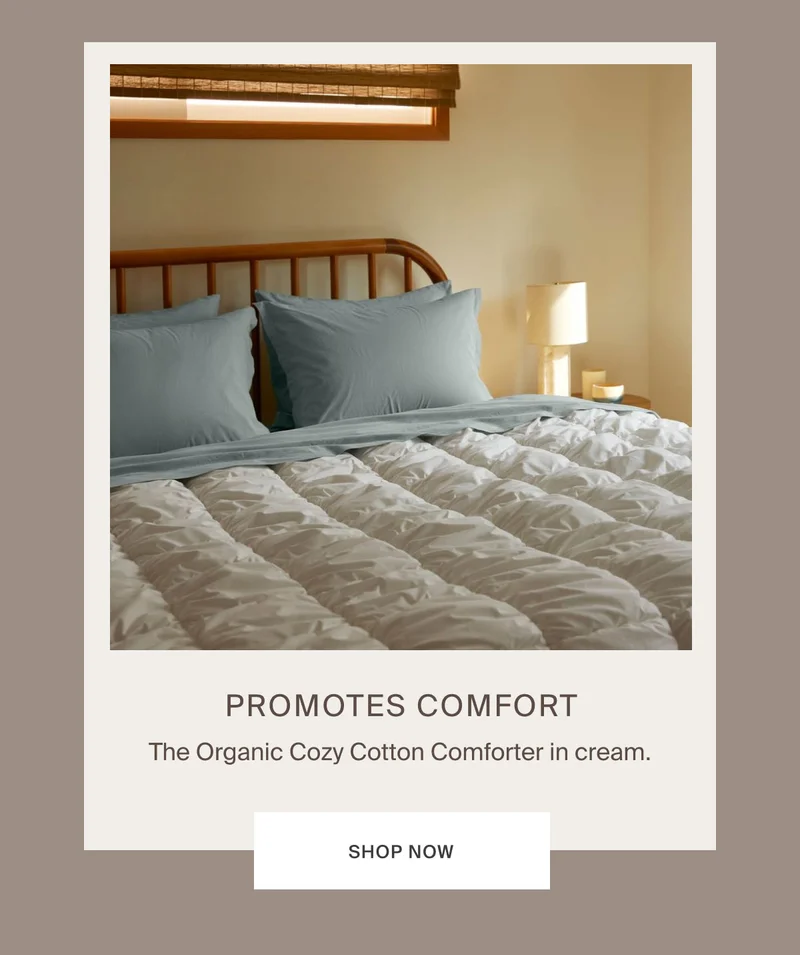 Organic Cozy Cotton Comforter in cream