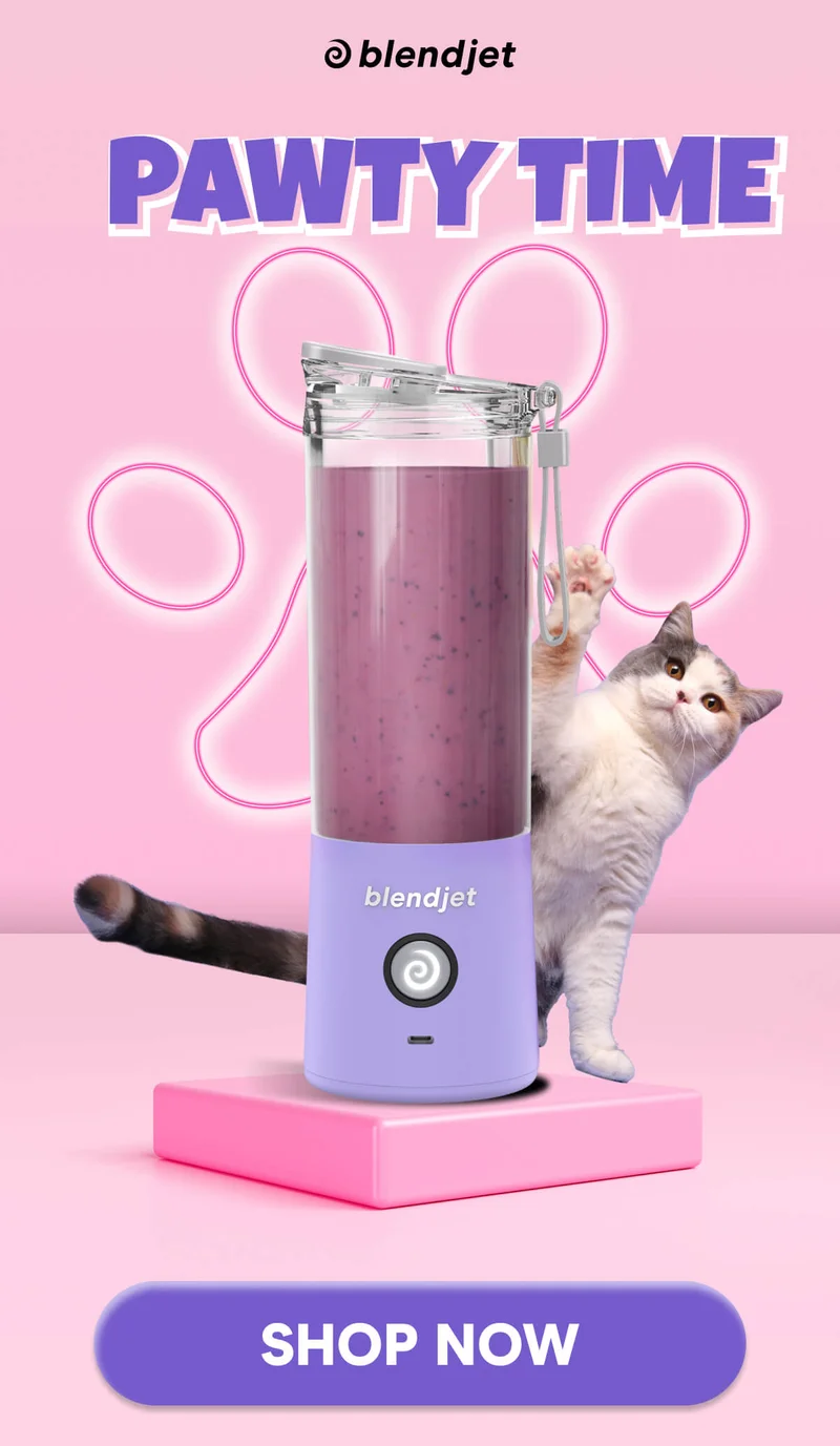 PAWTY TIME SHOP NOW