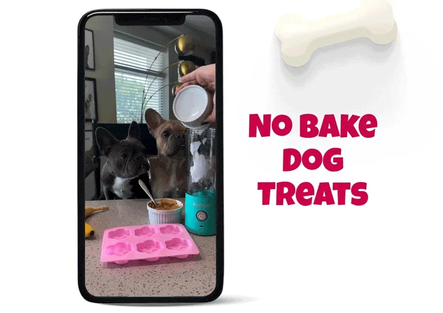 No Bake Dog Treats
