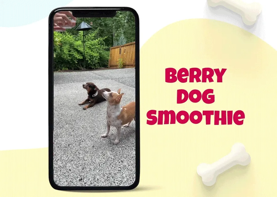 Berry Dog Smoothie