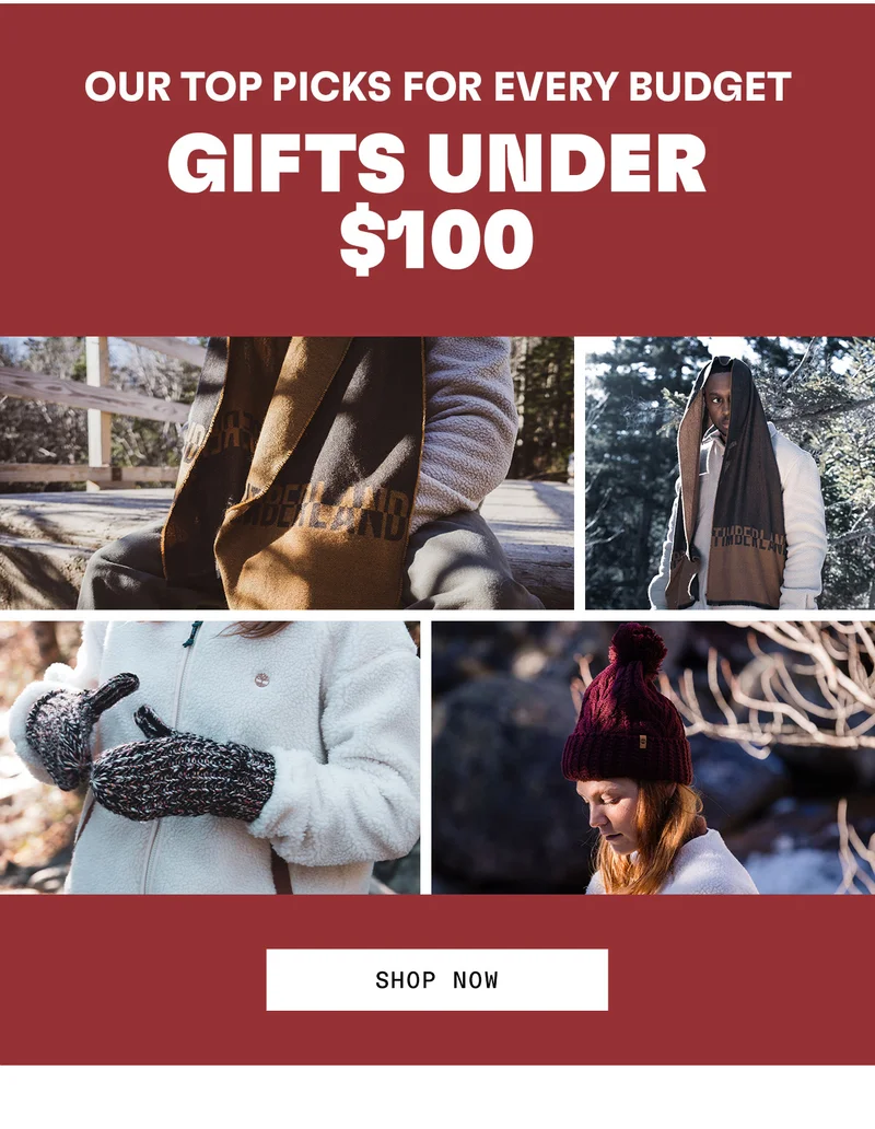 Our top gifts for every budget. Gifts under $100