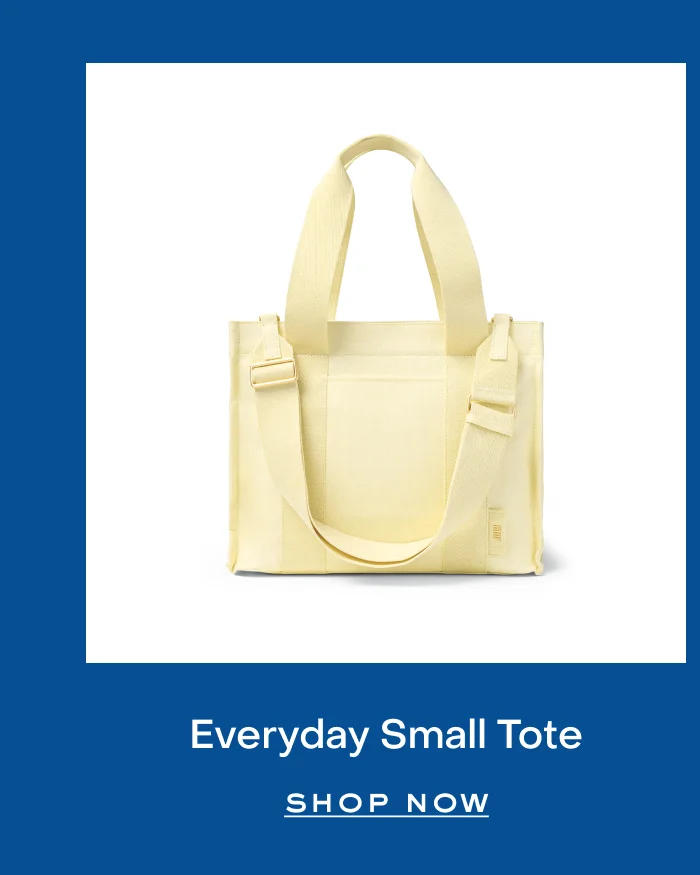 Everyday Small Tote