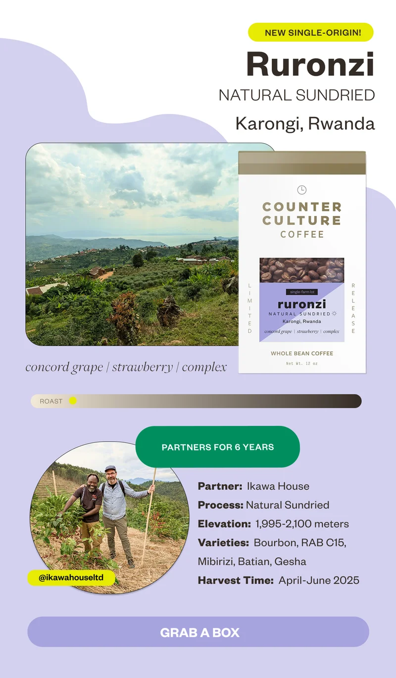 New Single-Origin Ruronzi Natural Sundried Karongi, Rwanda concord grape strawberry complex Partners for 6. yearsProcess: Natural  Elevation: 1,995–2,100 meters Varieties: Bourbon, RAB C15, Mibirizi, Batian, Gesha Harvest Time: April-June 2025 CTA: Grab a box