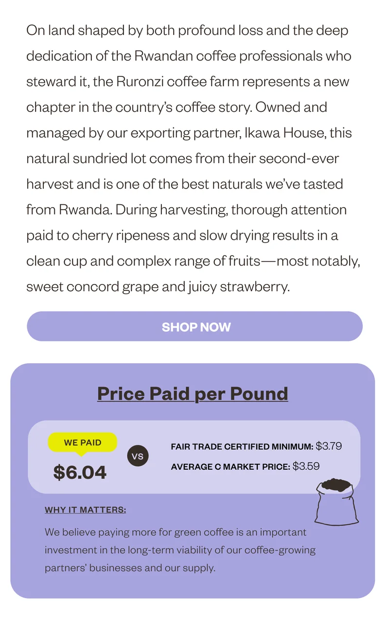 On land shaped by both profound loss and the deep dedication of the Rwandan coffee professionals who steward it, the Ruronzi coffee farm represents a new chapter in the country’s coffee story. Owned and managed by our exporting partner, Ikawa House, this natural sundried lot comes from their second-ever harvest and is one of the best naturals we’ve tasted from Rwanda. During harvesting, thorough attention paid to cherry ripeness and slow drying results in a clean cup and complex range of fruits–most notably, sweet concord grape and juicy strawberry.  CTA Shop Now Price paid per pound We paid $6.04 vs Fair trade certified minimum: $3.79 Average C Market Price: $3.59 Why it matters: We believe paying more4 for green coffee is an important investment in the long-term viability of our coffee-growing partners' businesses and our supply
