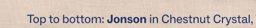 Jonson Jonson
