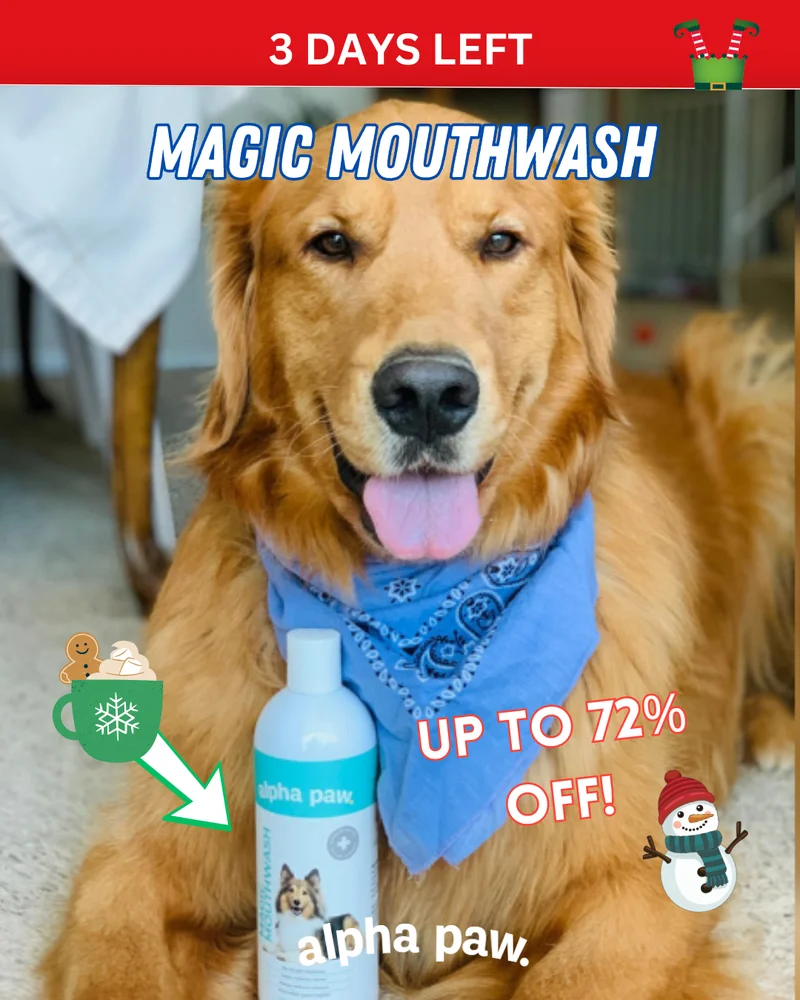 Better Doggie Dental