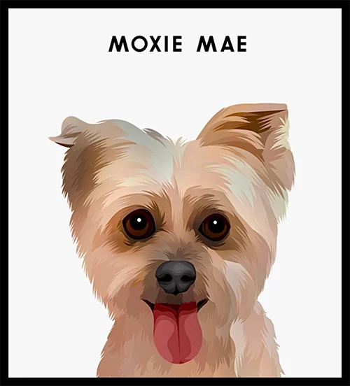 Modern Pet Portrait