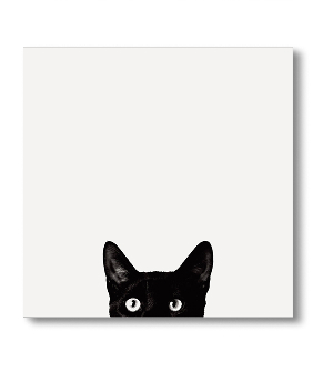 Curiosity Photo Print
