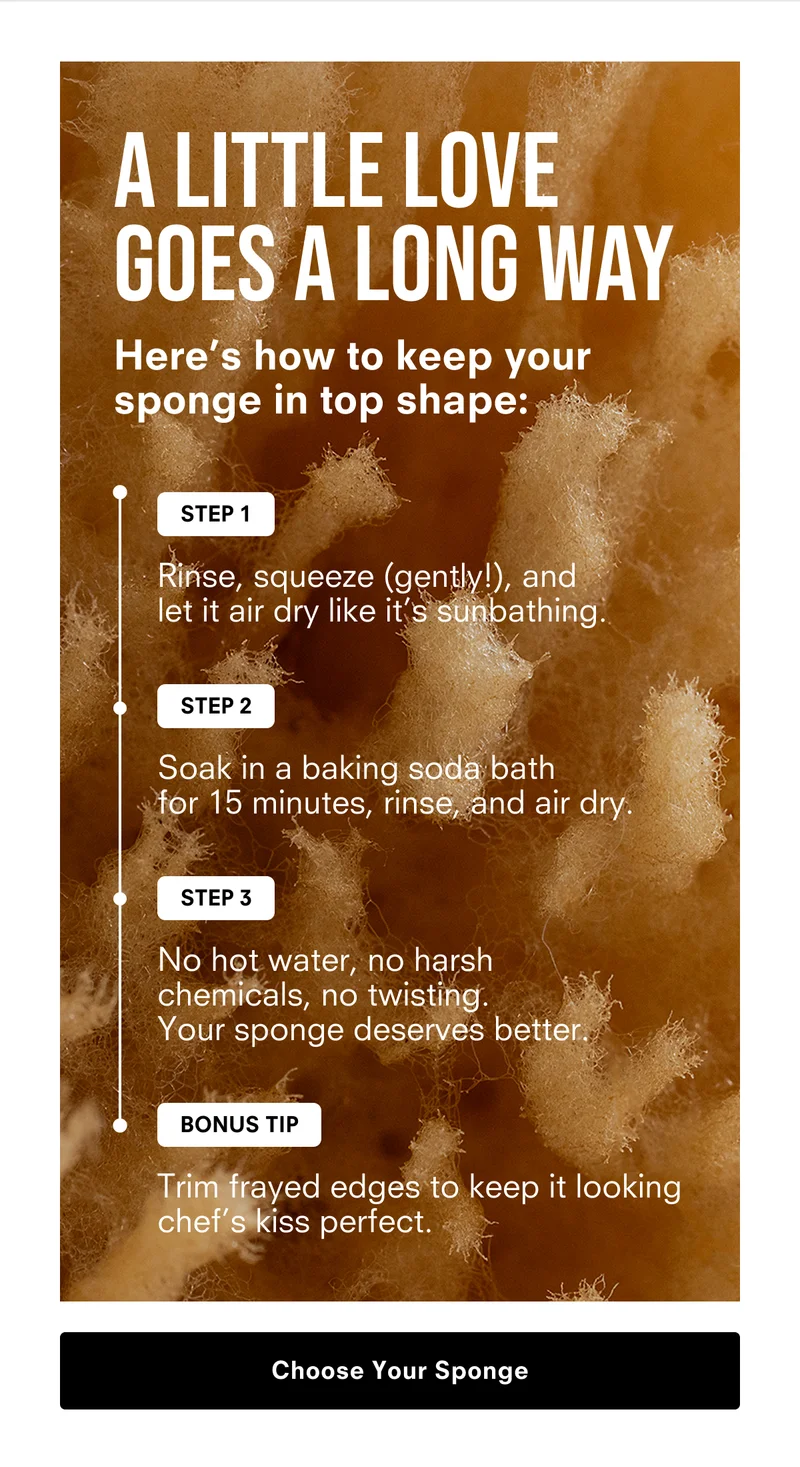 Keep your sponge in top SHAPE