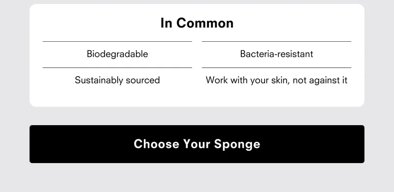 Choose your sponge