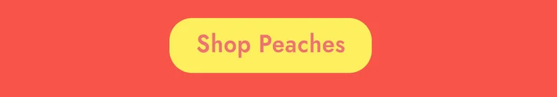 Shop Now!