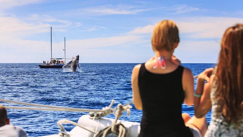 Image description: Friends whale watching from a boat in Cabo San Lucas