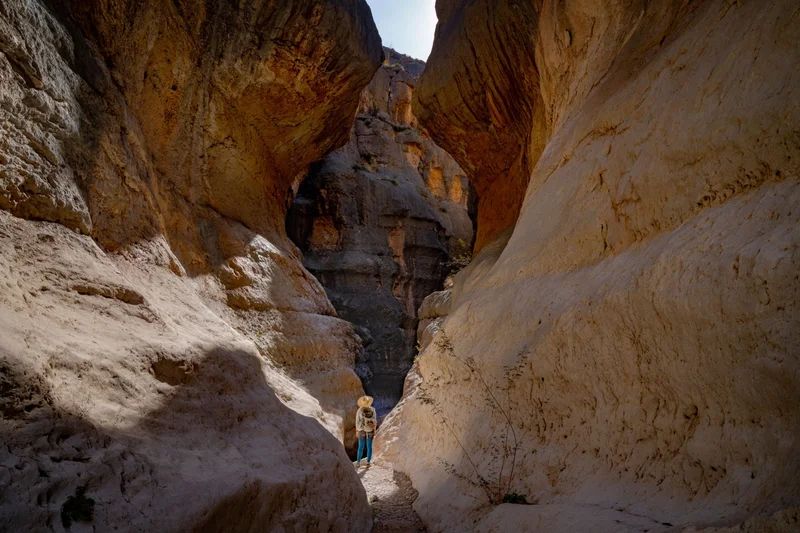 A hiker looks up at a gorge in Big Bend National Park.