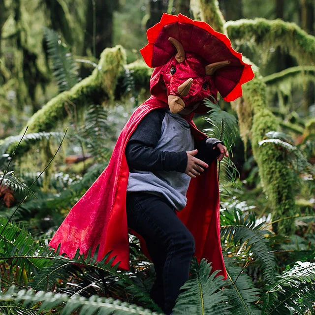 Dinosaur Dress Up Capes