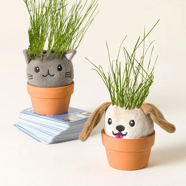 It’s Sprouting Cats & Dogs, 2 Grow Kits