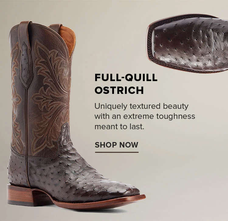 FULL-QUILL OSTRICH | SHOP NOW
