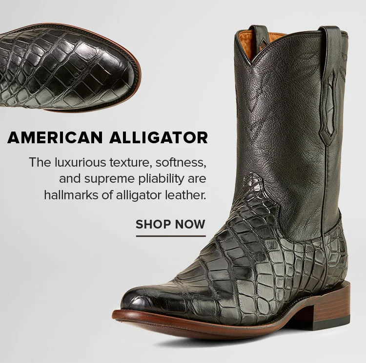 AMERICAN ALLIGATOR | SHOP NOW