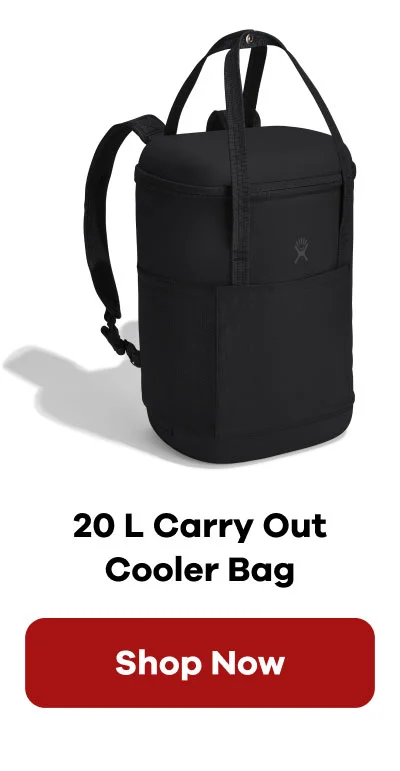 20 L Carry Out Cooler Bag | Shop Now