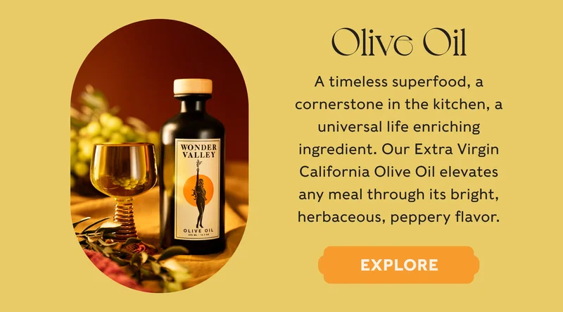 Olive Oil - EXPLORE