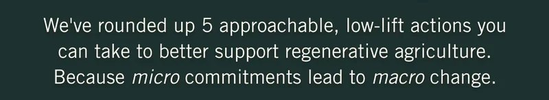 We've rounded up 5 approachable, low-lift actions you can take to better support regenerative agriculture. Because micro commitments lead to macro change.