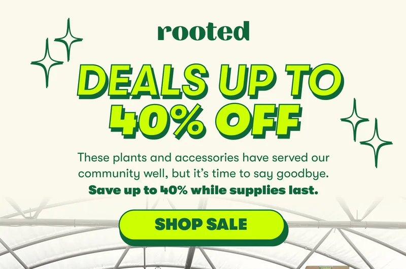 DEALS UP TO 40% OFF These plants and accessories have served our community well, but it’s time to say goodbye. Save up to 40% while supplies last.  [SHOP SALE]