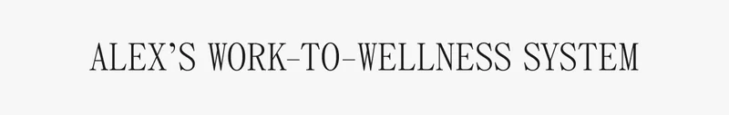 ALEX'S WORK-TO-WELLNESS SYSTEM