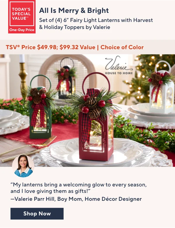 Valerie Parr Hill Fairy Lights