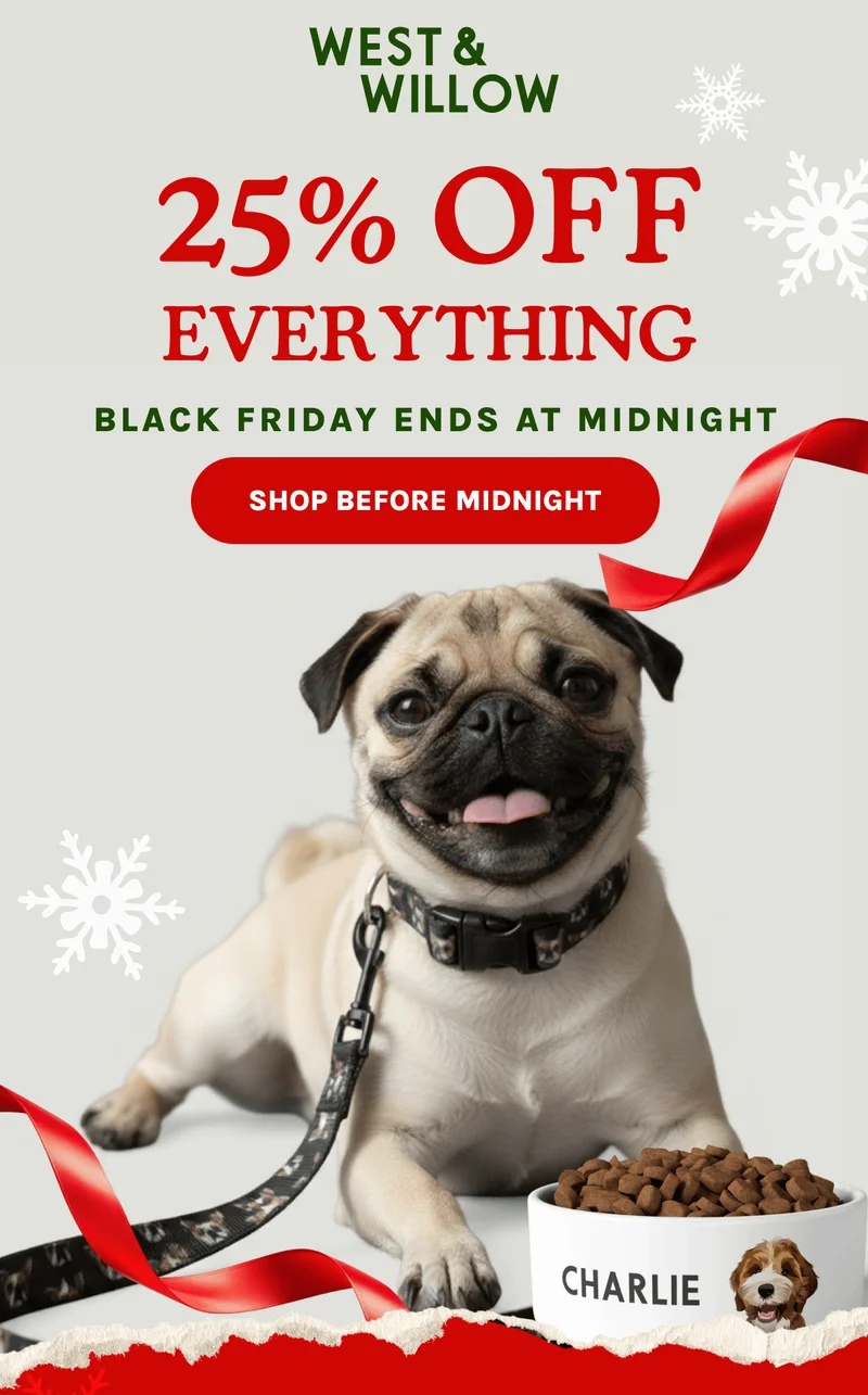 Shop Before Midnight