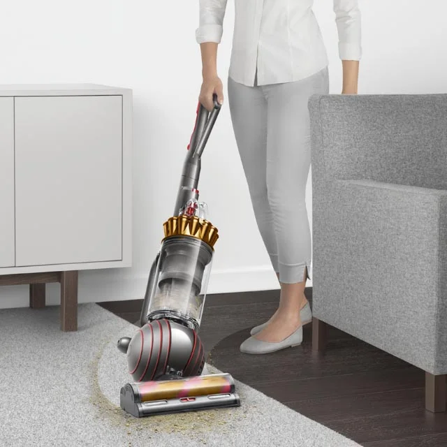 Dyson Ball Animal 3 Complete vacuum